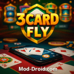 3Card fly