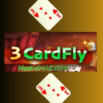 3card Fly