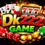 DK222 Game