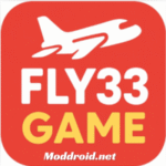 Fly33