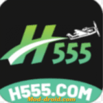 H555