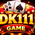 DK 111 game